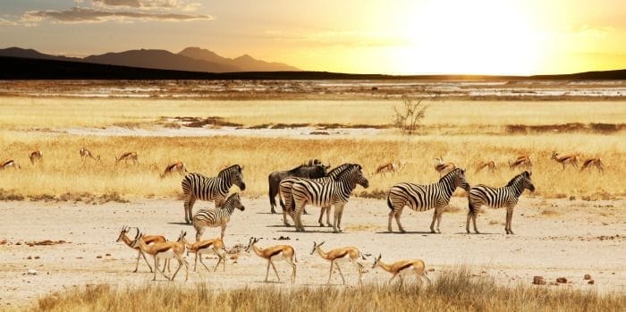 Memorias de Africa Mindful Travel