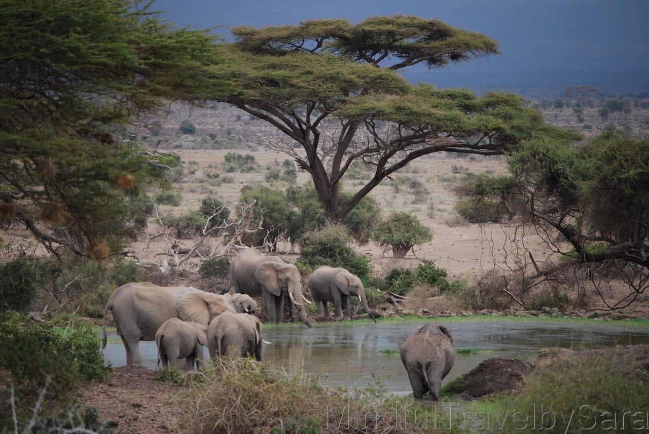 viajar kenia