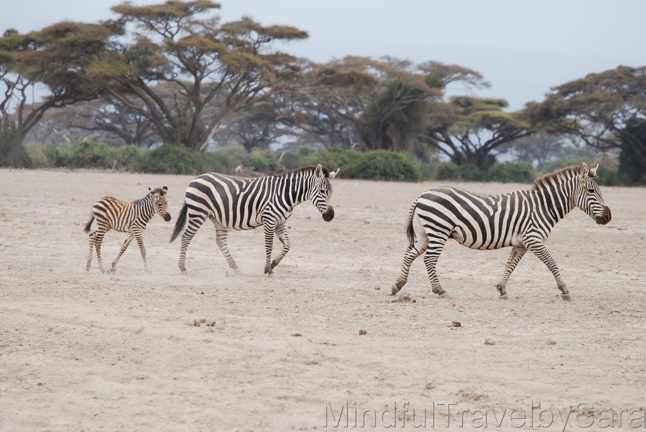 que hacer en kenia