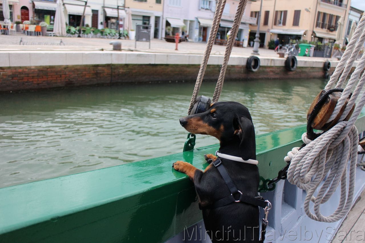 Kiba+marinero Cesenaticobellavita2