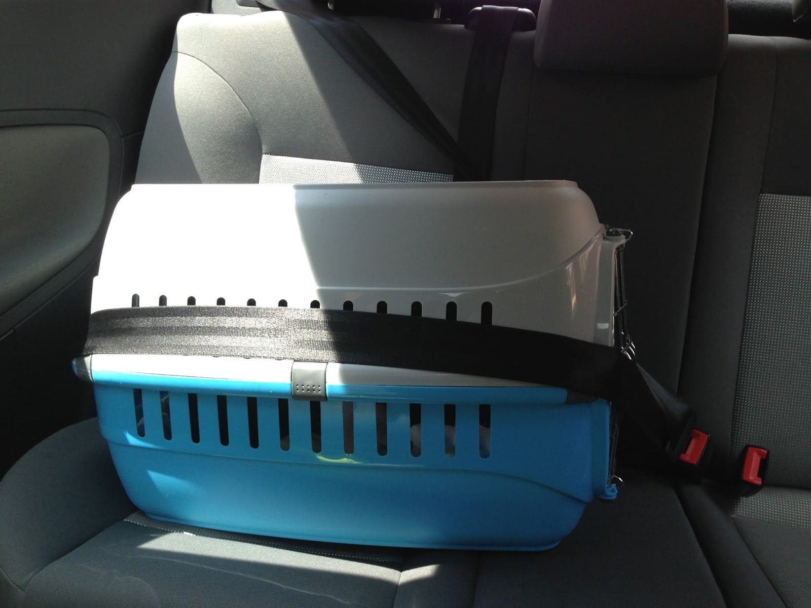 Transportin3