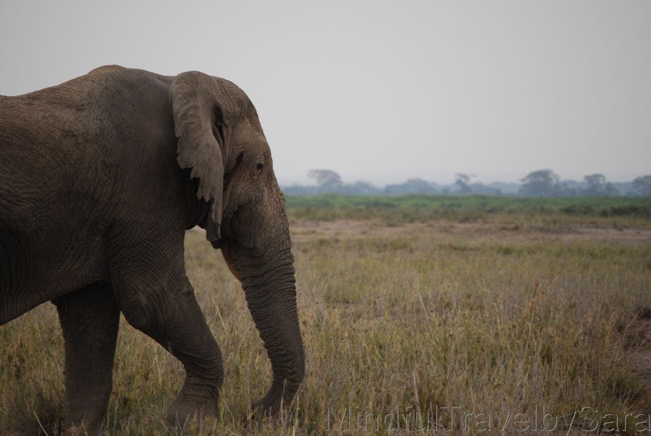 Parque Nacional de Amboseli en Kenia Parque Nacional de Amboseli en Kenia