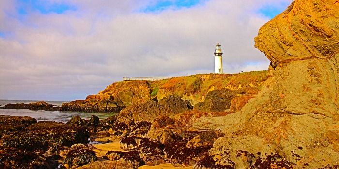 Las mejores Postales desde Pigeon Point