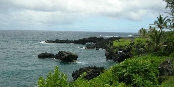 Descubriendo la naturaleza de Maui Camino a Hana
