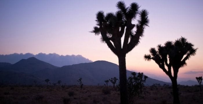 Entrevista Viajera con GlobalGrassHopper