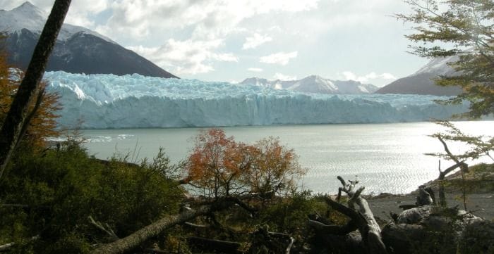 Perito Moreno: Naturaleza en la Patagonia Argentina