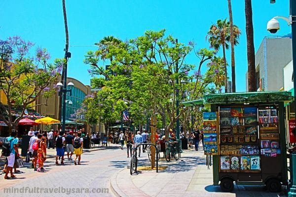 Santa Monica Shopping