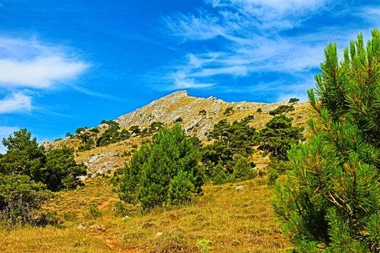 Almenara