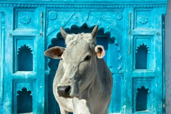 India