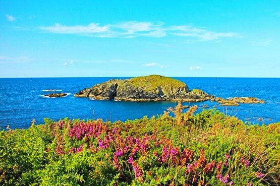 Puerto de Vega