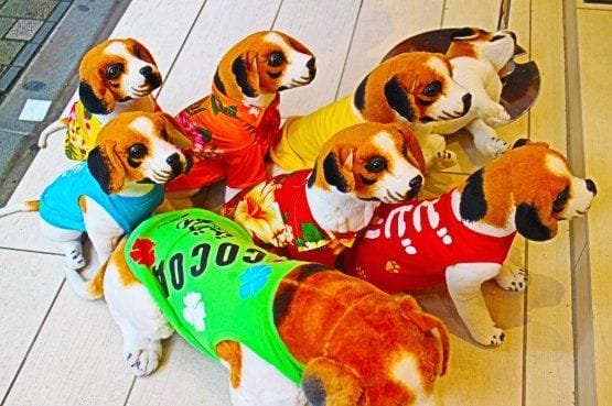 mascotas japon