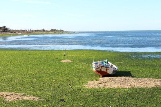 Djerba Tunez