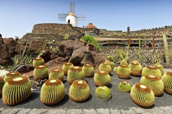 Lanzarote Islas Canarias