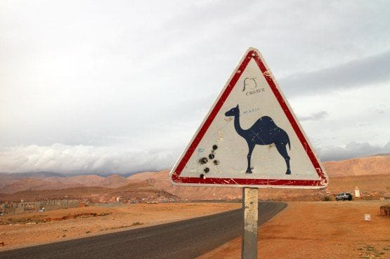 guia marruecos