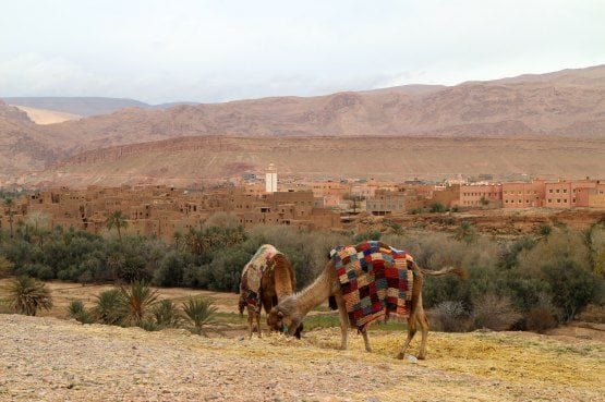 visitar marruecos