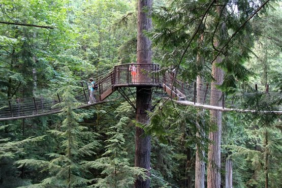Actividades Puente colgante de capilano
