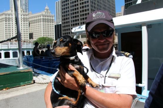 Mercury Canine Cruise