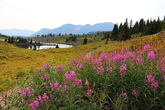 Parque Nacional Banff Sunshine Trail