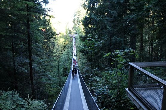 Puente Suspendido de Capilano Vancouver