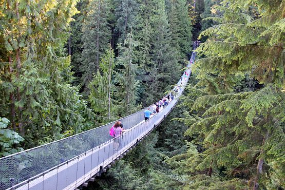 Puente Suspendido de Capilano
