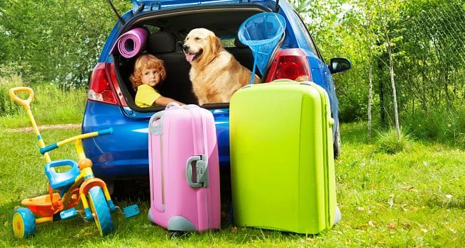 Requisitos para Viajar con Perro