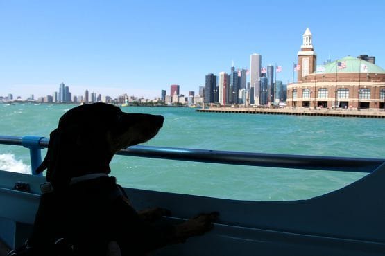 crucero chicago