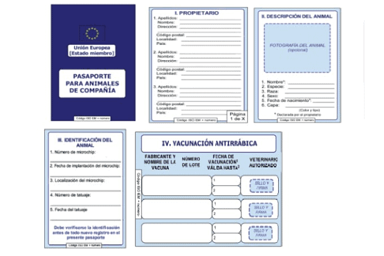 pasaporte perros