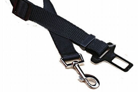 Cinturon seguridad coche perros
