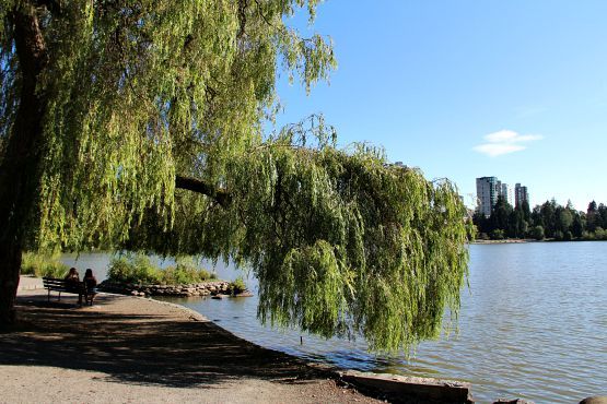 Ciudad de Vancouver Parque Stanley