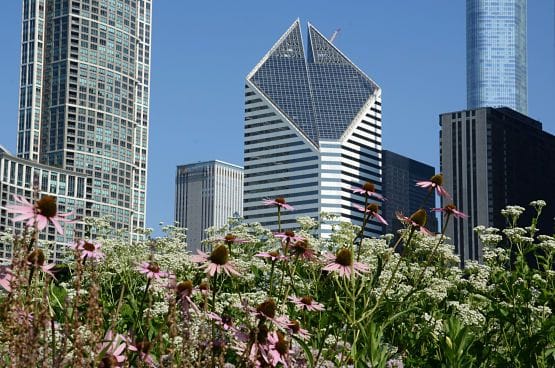 Lurie Garden El jardin secreto chicago