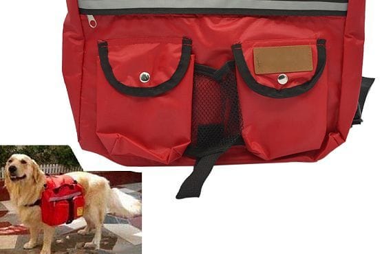 Mochila perro