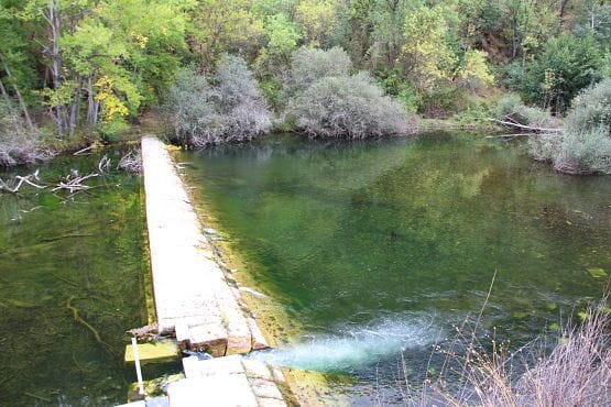 Presa de Navarejos