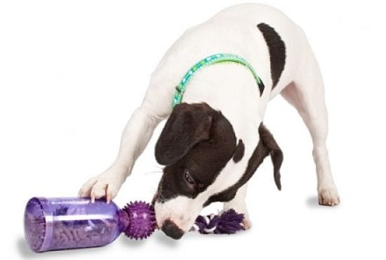 Tug a Jug Accesorios para Perros