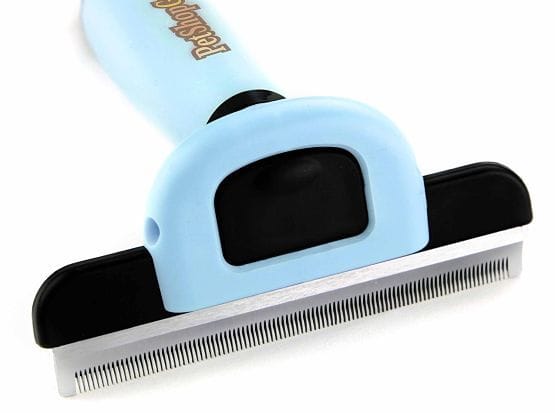 cepillo perro Accesorios para Perros