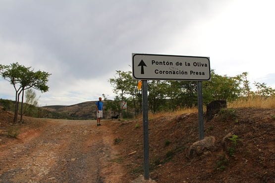 el pontón de la oliva