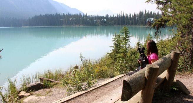Viajar con Perro a Canadá y Cómo Kiba descubrió las ardillas