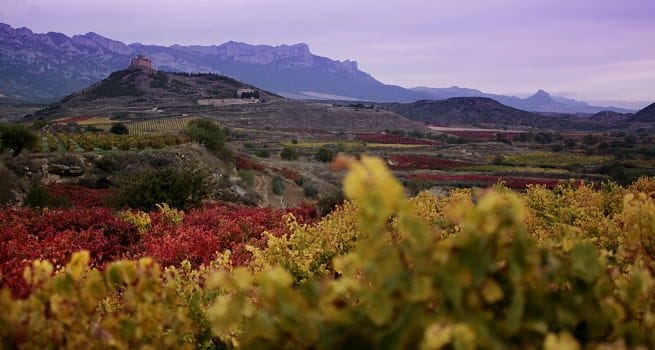 Enoturismo en La Rioja