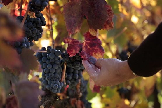 turismo La Rioja