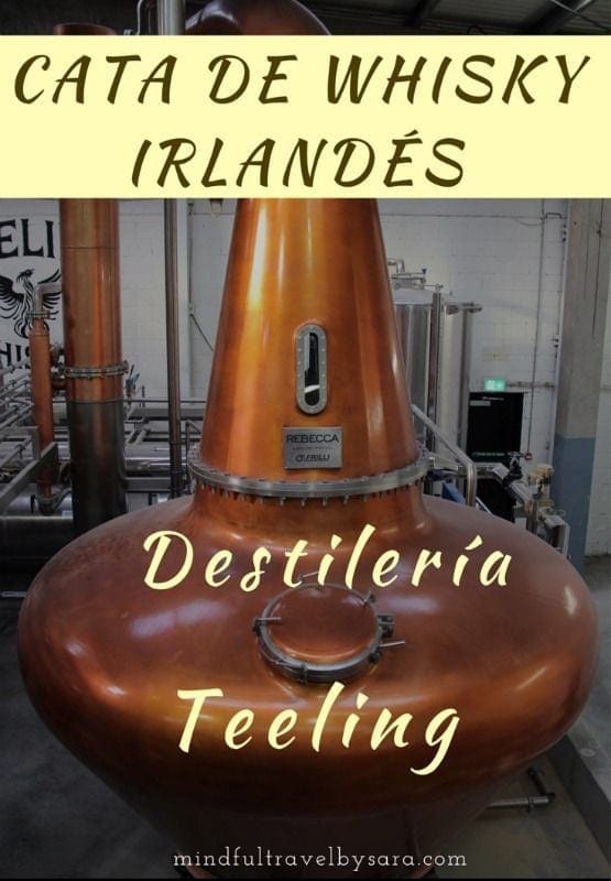 Cata de Whisky Irlandes