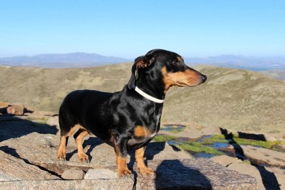 senderismo gredos