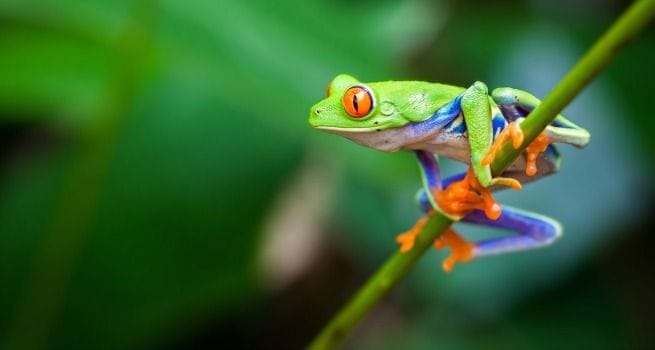 Los Mejores Lugares para Visitar en Costa Rica que no te puedes perder