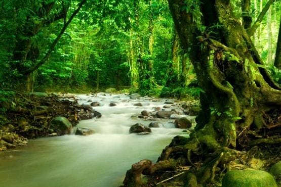 viajar a costa rica