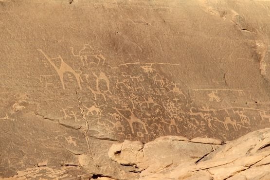 beduinos wadi rum