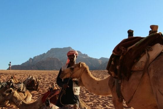camello wadi rum