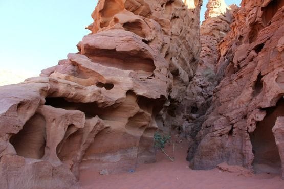 desierto rojo