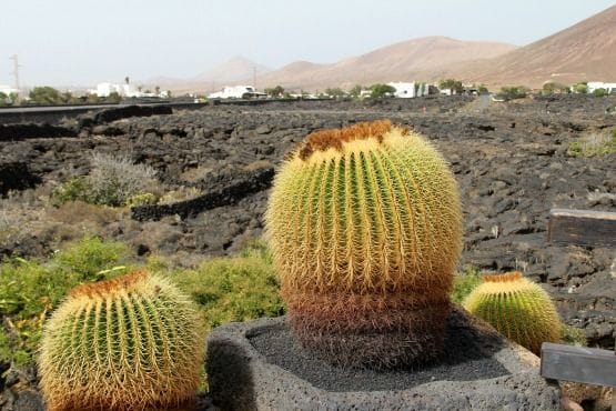 isla lanzarote