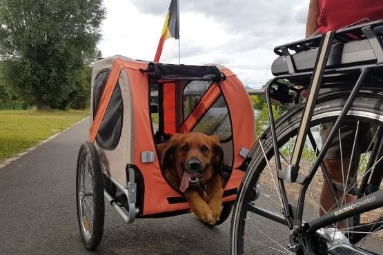 valonia en bici
