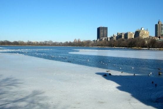 Patinar en Central Park