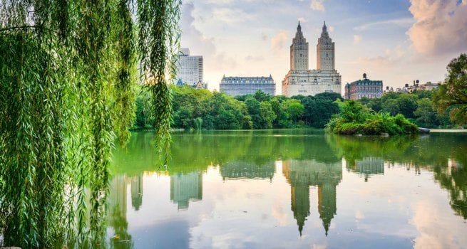Que hacer en Central Park Nueva York 