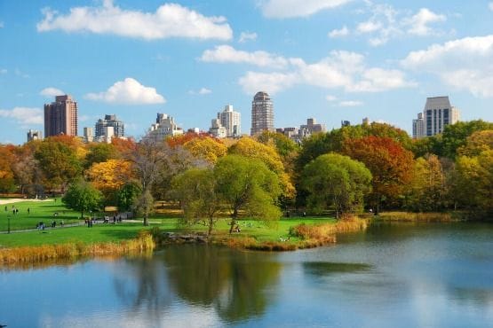 cosas que hacer en central park